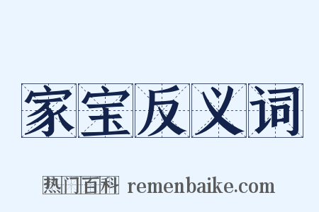 家宝反义词是什么意思的图片